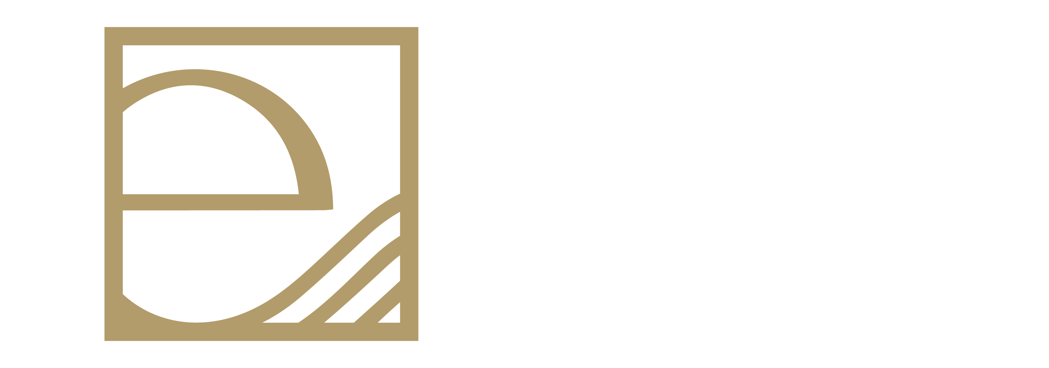 EGE SOCKS